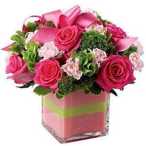 Meet your Posher, Joy